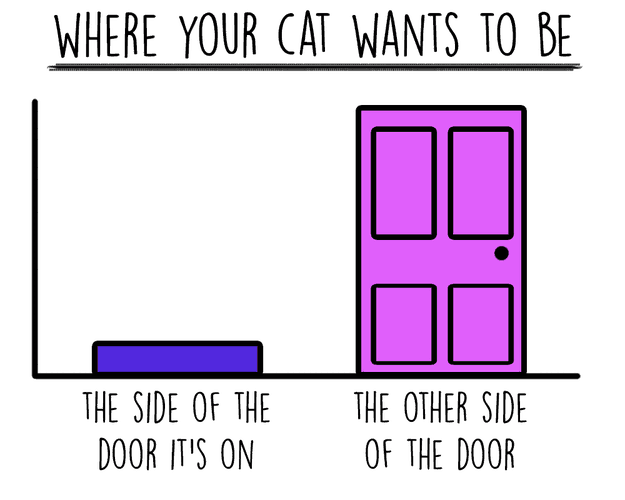 cat-charts-door