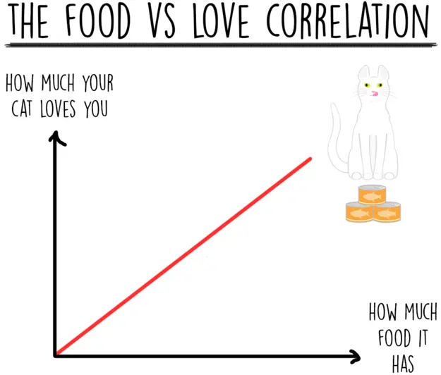 cat-charts-food