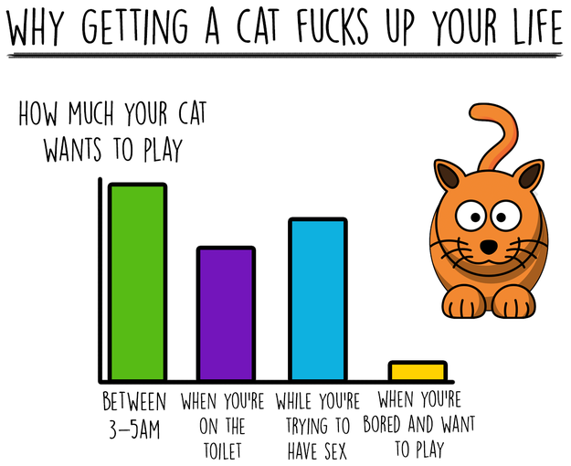 cat-charts-play
