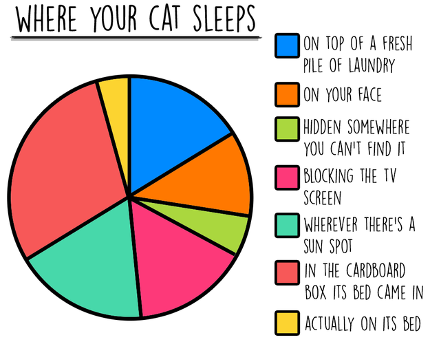 cat-charts-sleep