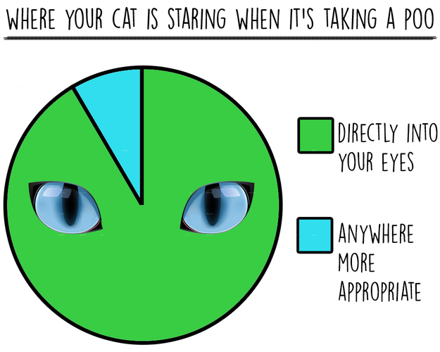 cat-charts-staring