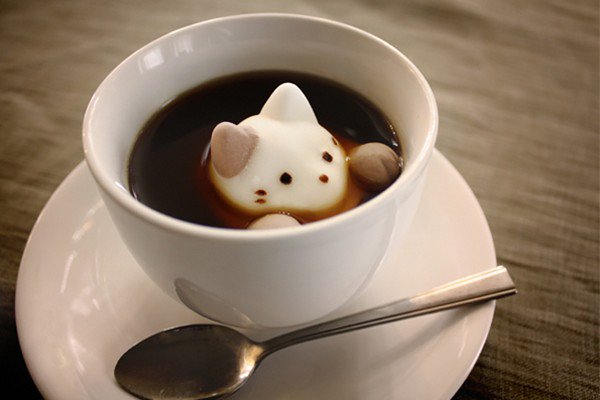 cat coffee