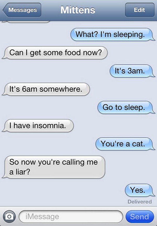 cat insomniac text