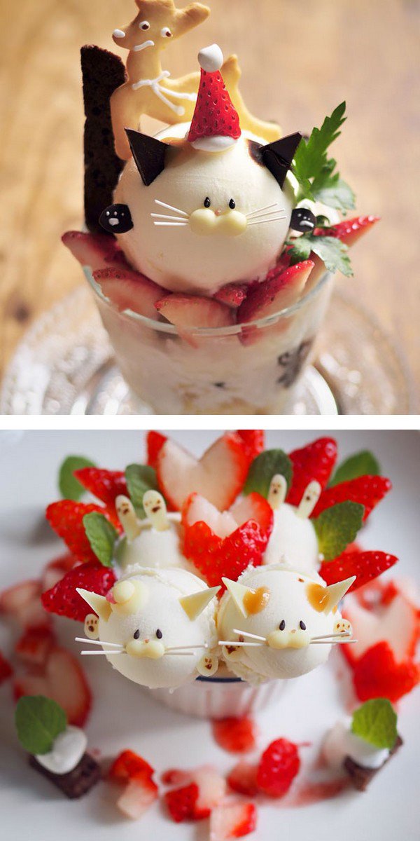 cat parfaits