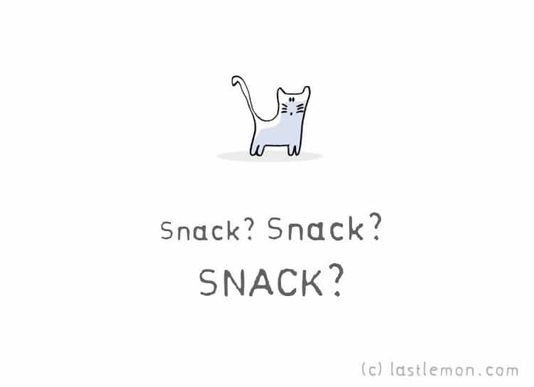 cat snack