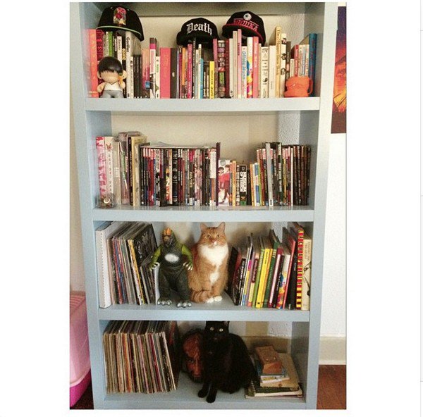 cats bookshelf