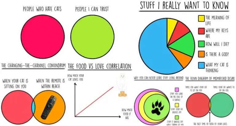 charts about cats