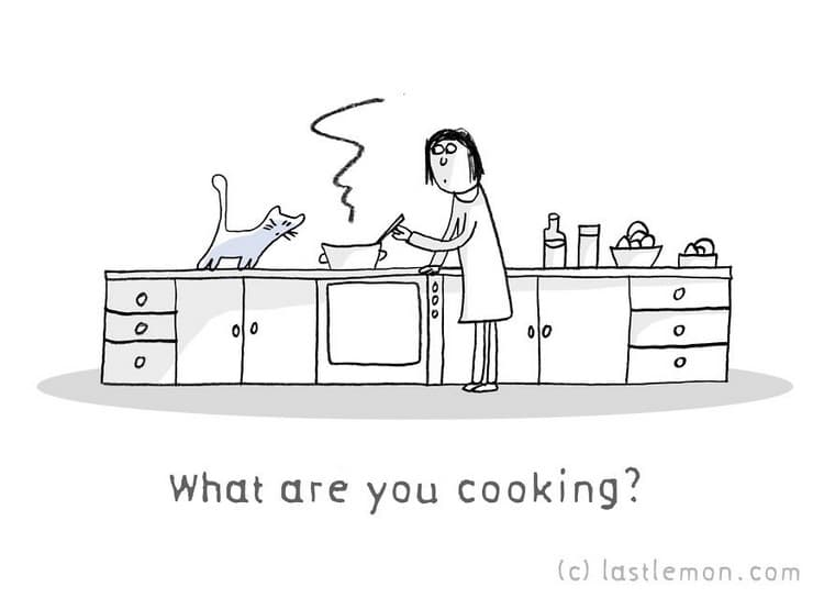 cooking cat