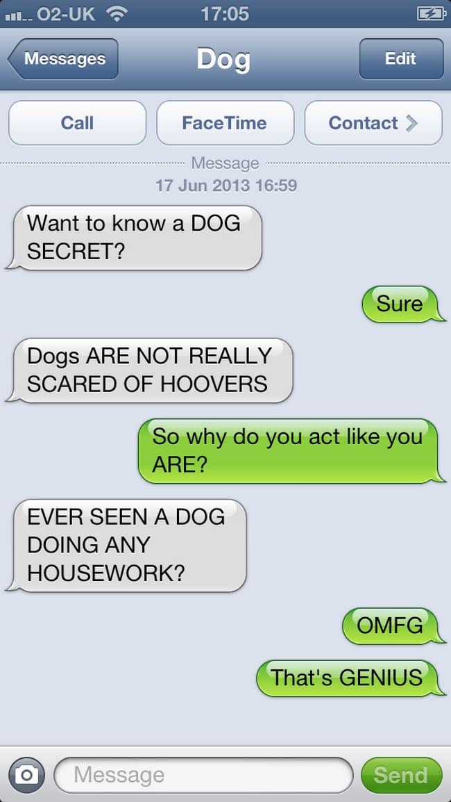 dog hoover text