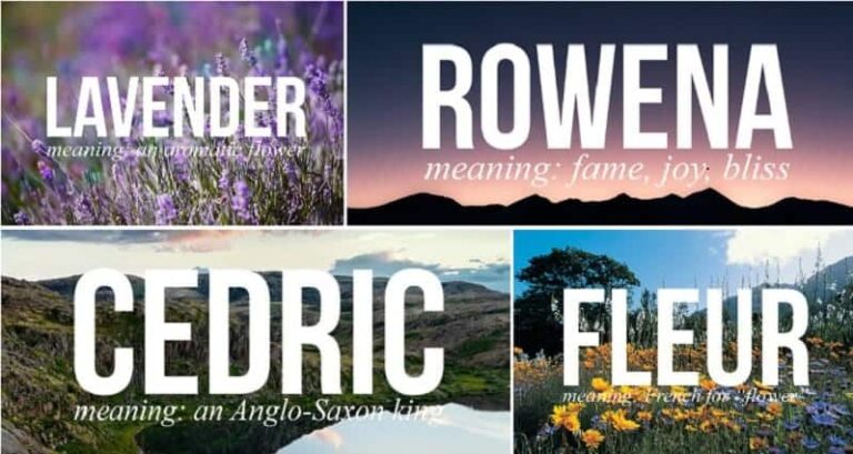 feature-harry-potter-name