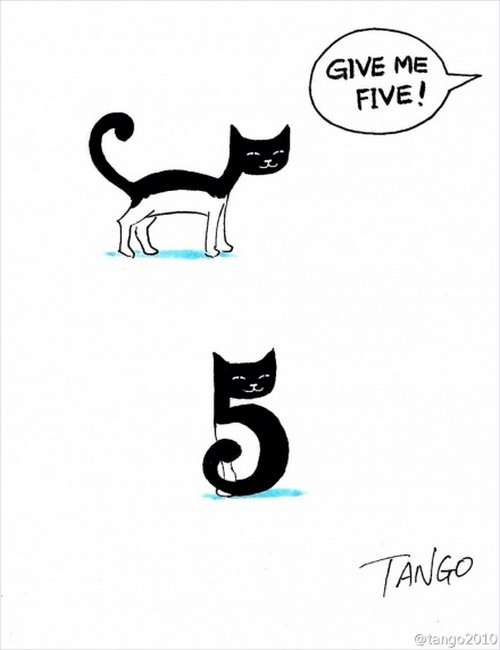 five cat