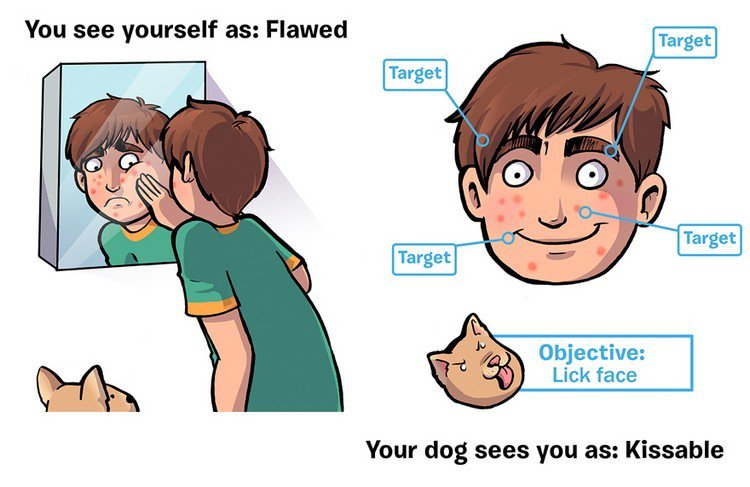 flawed kissable dog