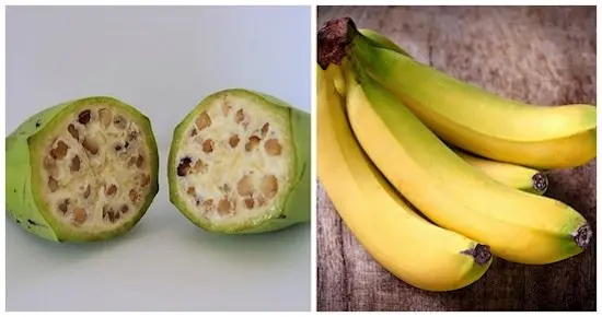 fruits-bananas