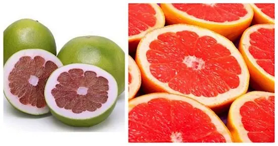 fruits-grapefruit