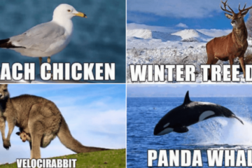 funny animal names