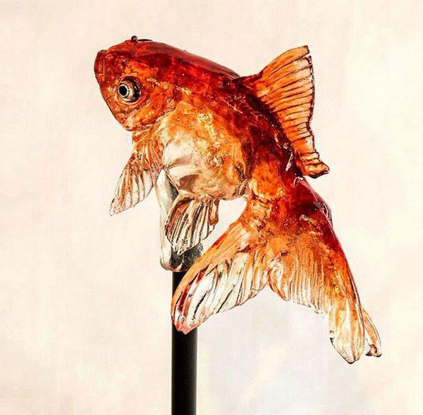 goldfish lollipop