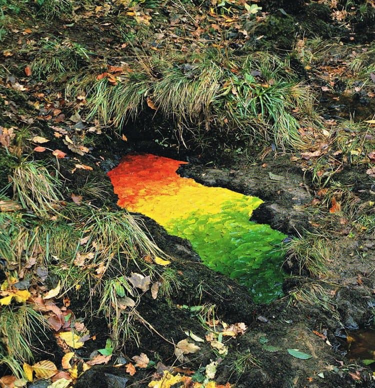 goldsworthy-leaves