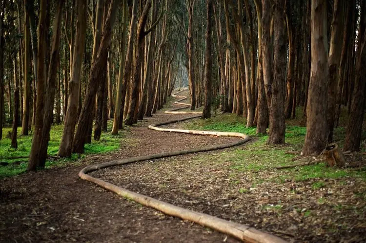 goldsworthy-path