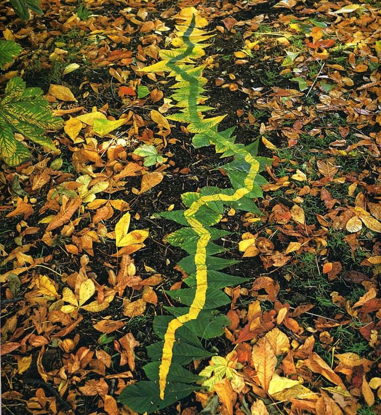 goldsworthy-trail