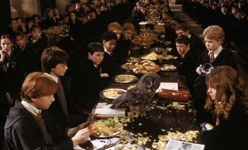 hogwarts-awkward-great-hall-owl