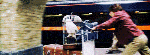 hogwarts-awkward-walk-into-platform