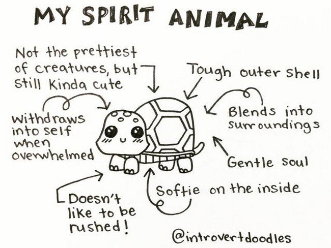 introvert spirit animal