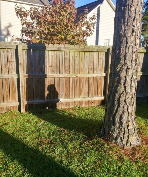 kids-bad-at-hide-and-seek-shadow