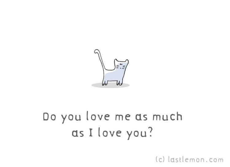 love me cat