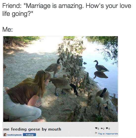 married-with-kids-what-geese