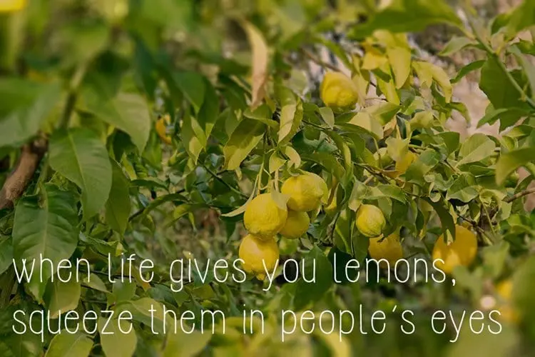 motivational-posters-hate-people-lemons