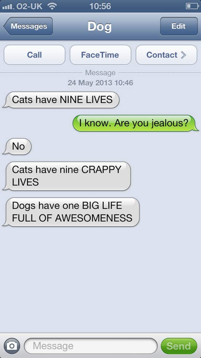 nine lives text