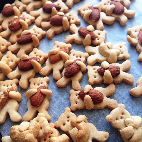 nut bear cookies