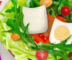 owl boiled egg mold