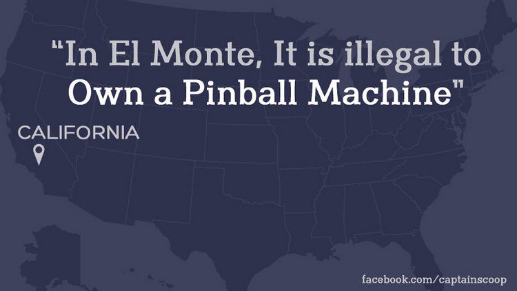 pinball law