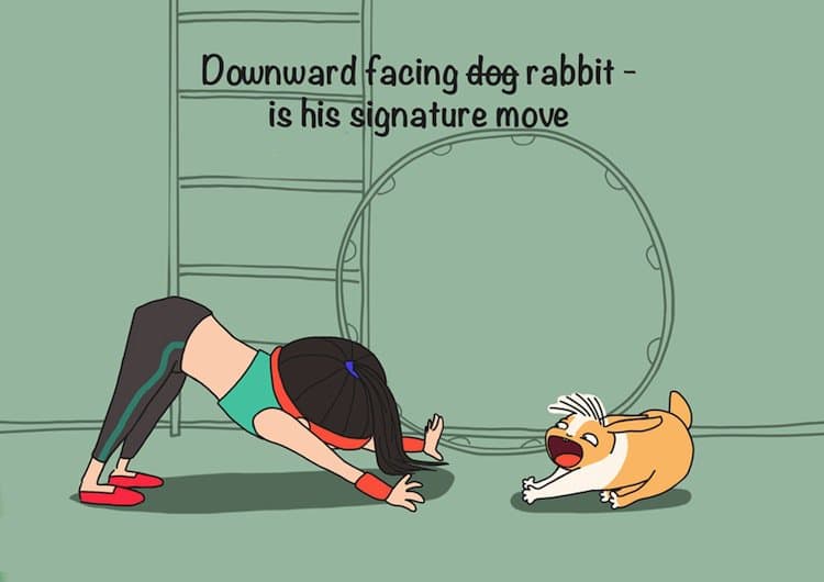rabbit-downward