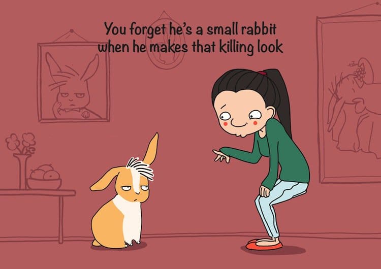 rabbit-look