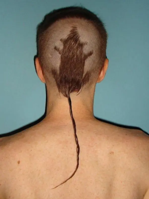 rat hair
