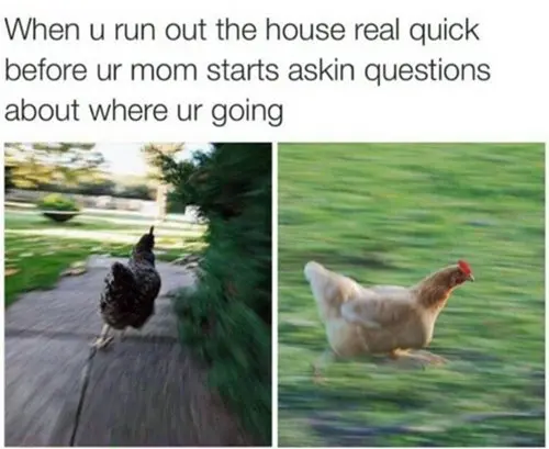 strict-mom-run