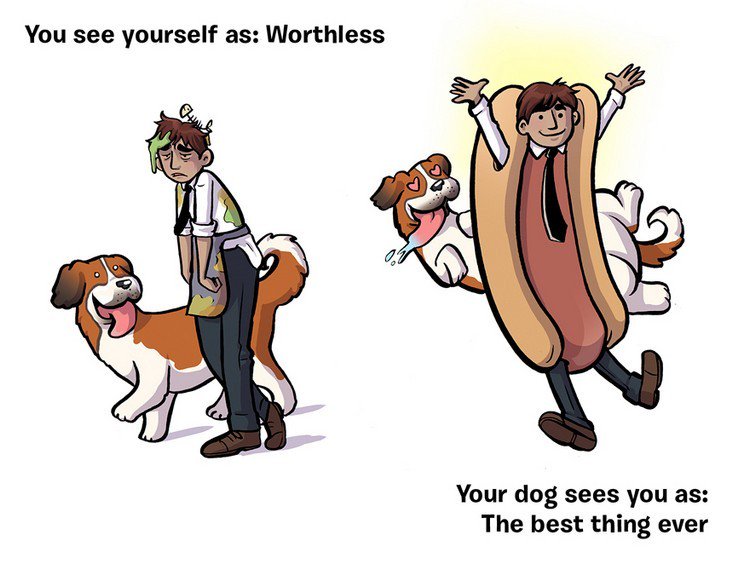 worthless best dog