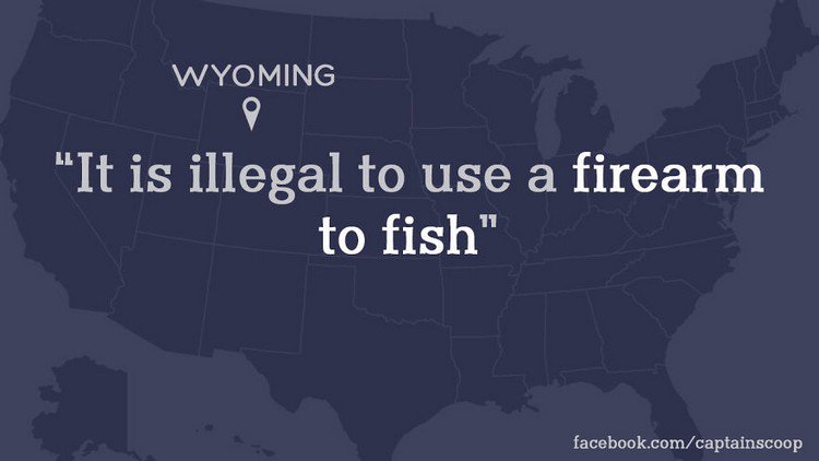 wyoming firearm law