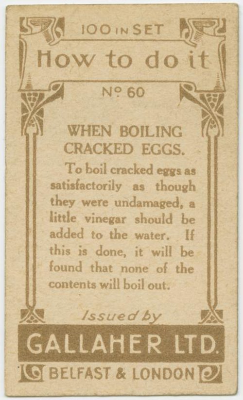 Boiled Eggs 2