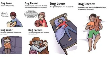 Differences Between Loving Owning Dogs