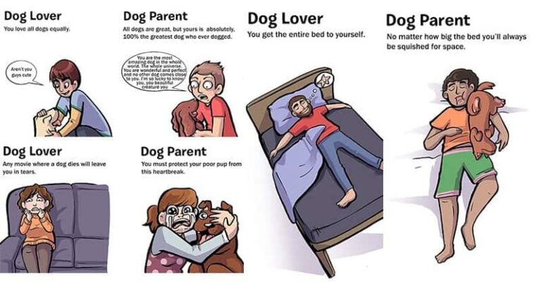 Differences Between Loving Owning Dogs