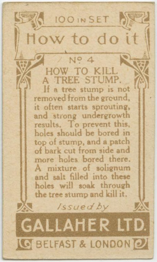 Kill Stump 2
