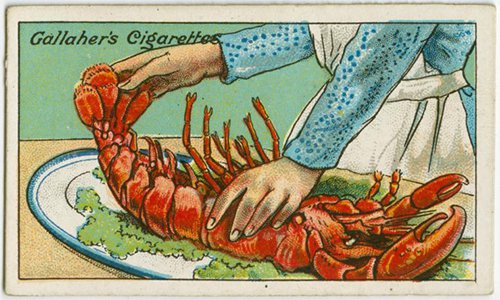 Lobster Freshness 1