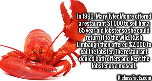 Lobster