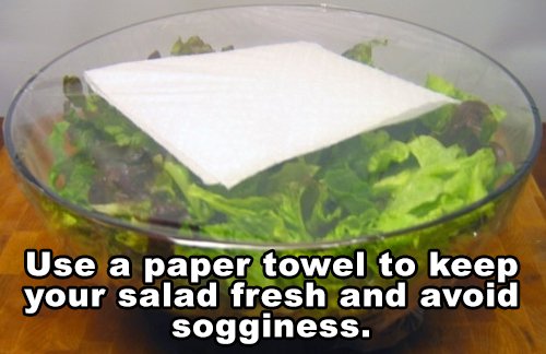Paper Towel