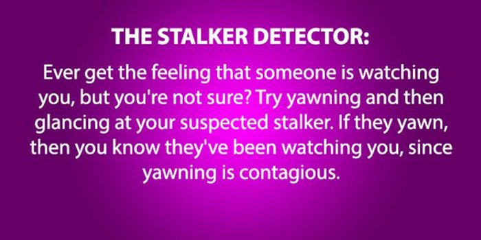 Stalker Detector