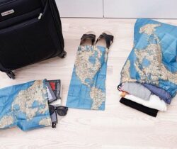 World Map Travel Bags