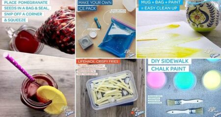 Ziploc Hacks Tips
